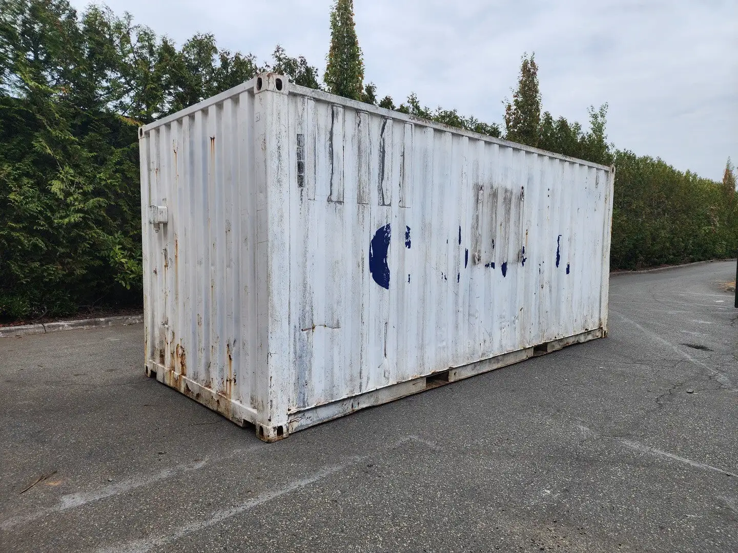20 ft Container w/ Shelf, Electrical & Lighting - Image 4